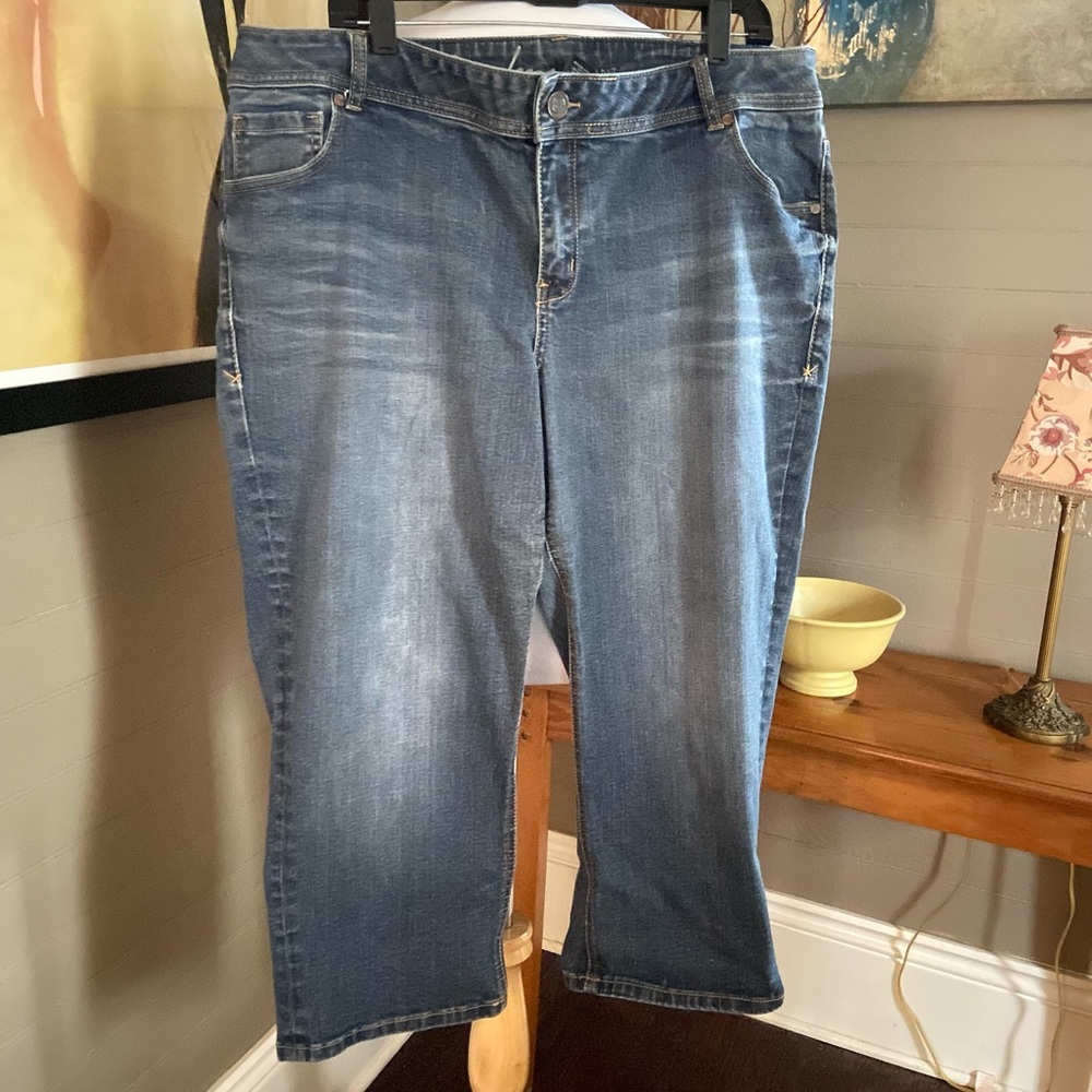 Lane Bryant Jeans